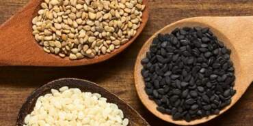 Türkiye Yolladı, Almanya Reddetti! O Ürün de Sınırdan Geri Çevrildi