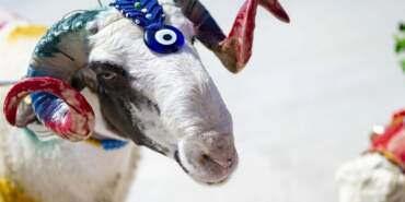 Uzman İsimden Kurbanlık Uyarısı: Bu Detaylara Dikkat Etmeyen Yandı