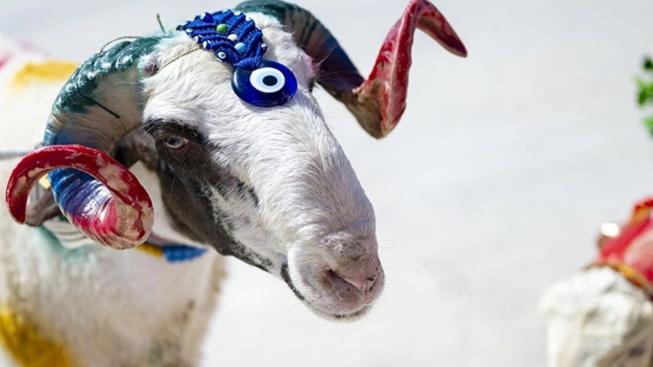 Uzman İsimden Kurbanlık Uyarısı: Bu Detaylara Dikkat Etmeyen Yandı