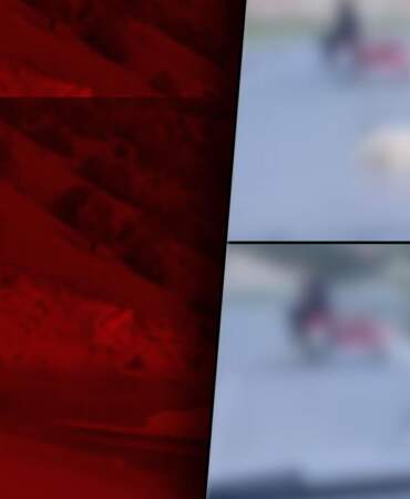 Vahşetin Adresi Bu Kez Kahramanmaraş… Köpeği Motosikletle Sürüklediler!