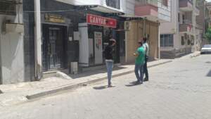 Vahşetin Adresi Manisa! Sokak Kedisini Pompalı Tüfekle Katletti, Serbest Bırakıldı