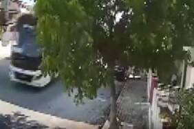Vicdansızlığın Böylesi! Yolda Yatan Köpeği Ezdi, Yoluna Devam Etti