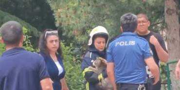 Yangında Mahsur Kalan Kedinin İmdadına İtfaiye Ekipleri Koştu