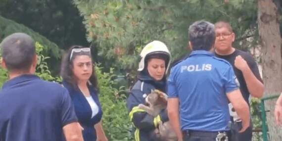 Yangında Mahsur Kalan Kedinin İmdadına İtfaiye Ekipleri Koştu