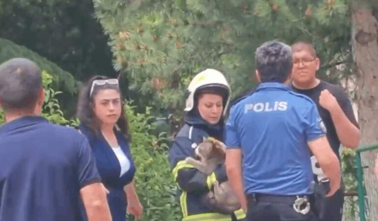 Yangında Mahsur Kalan Kedinin İmdadına İtfaiye Ekipleri Koştu