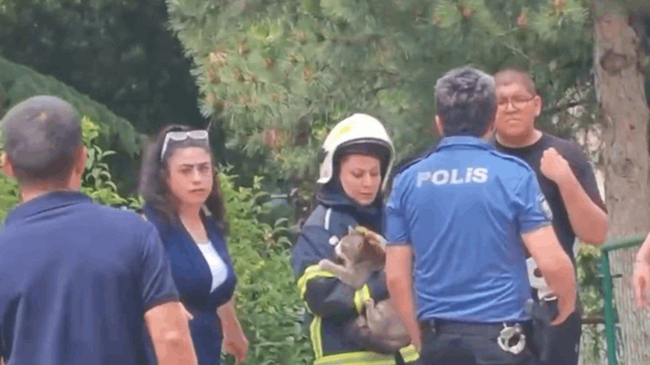 Yangında Mahsur Kalan Kedinin İmdadına İtfaiye Ekipleri Koştu