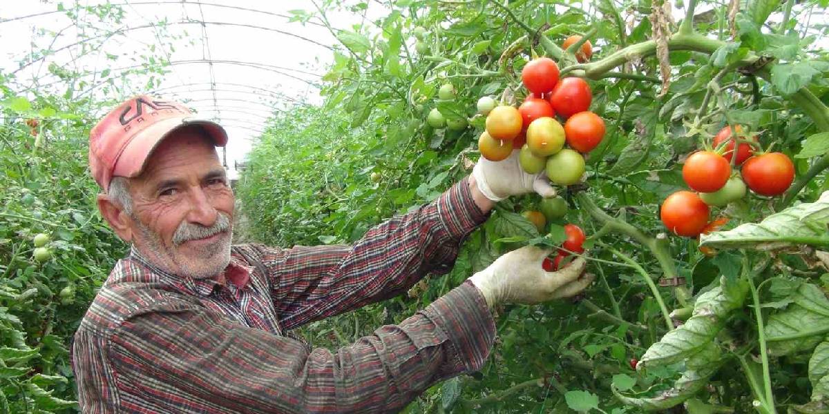 yeni-proje-12-1 yeni-proje-12.jpg