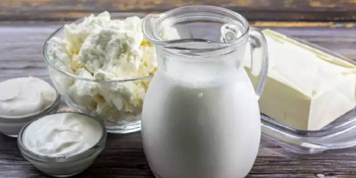 yeni-proje-12-5 yeni-proje-12.jpg