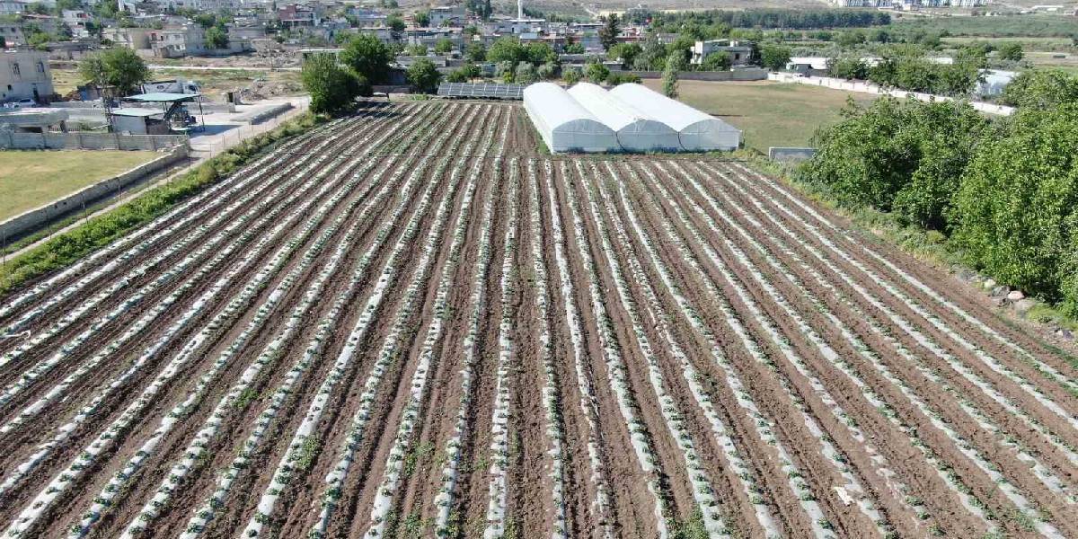 yeni-proje-17 yeni-proje-17.jpg