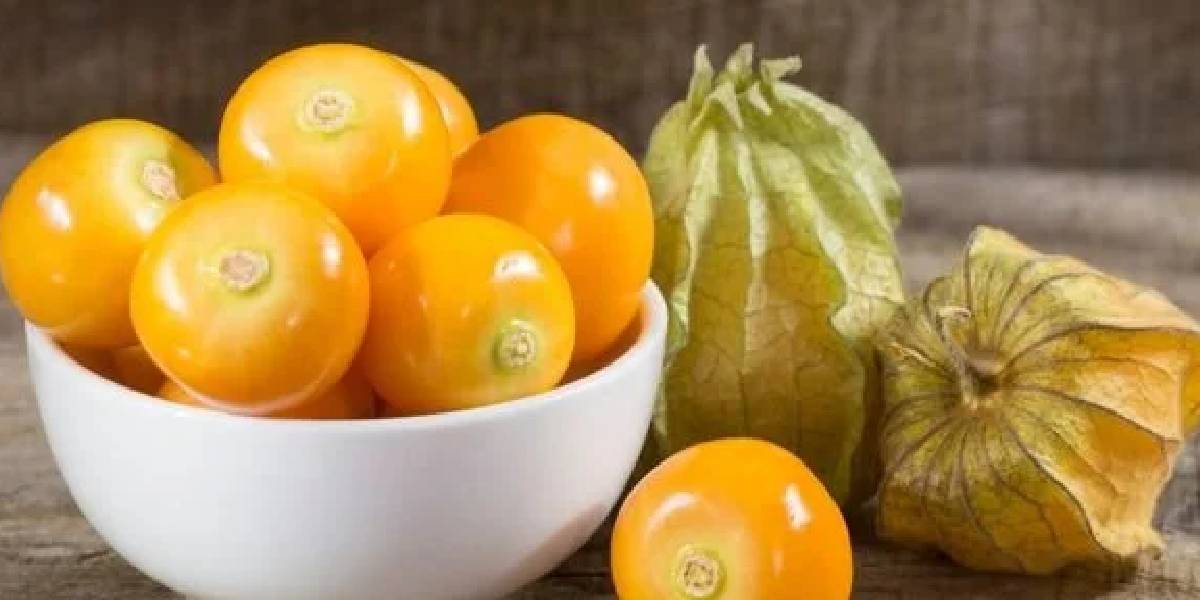 yeni-proje-23 yeni-proje-23.jpg