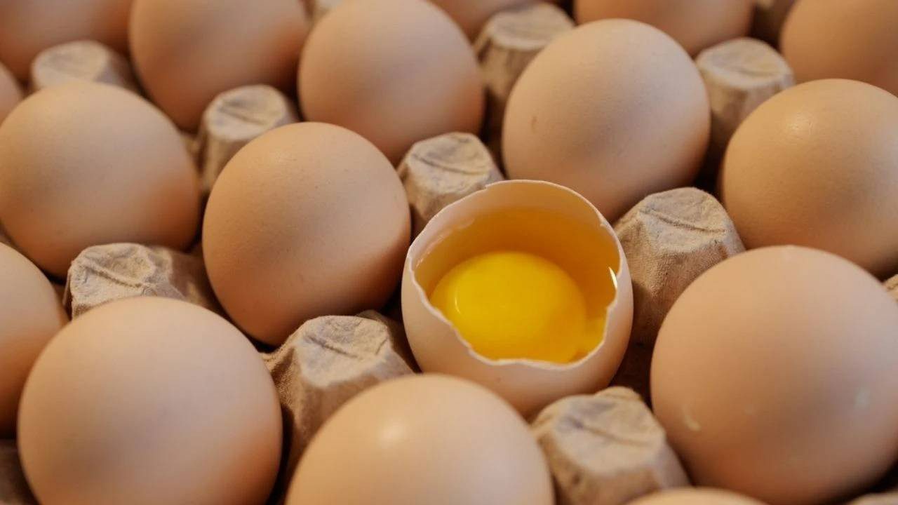 Yumurta Fiyatları Düşüşe Geçti
