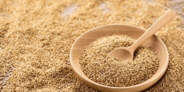 Yunanistan’a Gönderilen Susamda Ölümcül Bakteri!