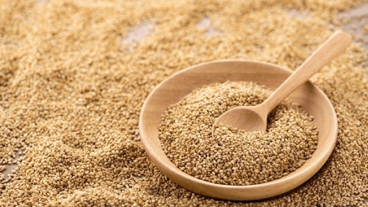 Yunanistan’a Gönderilen Susamda Ölümcül Bakteri!