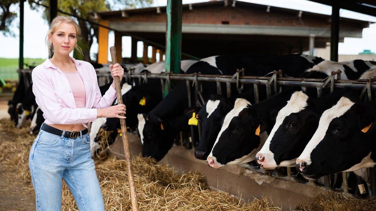 Çiftçinin yüzü gülecek: Sera ve büyükbaş süt hayvancılığına yönelik özel kredi paketleri! Tarımsal kalkınmada yeni dönem