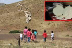 Lezzetti tescillendi, AB ülkelerinde koruma altına alındı! Erzincan tulum peyniri ülkenin gurur oldu
