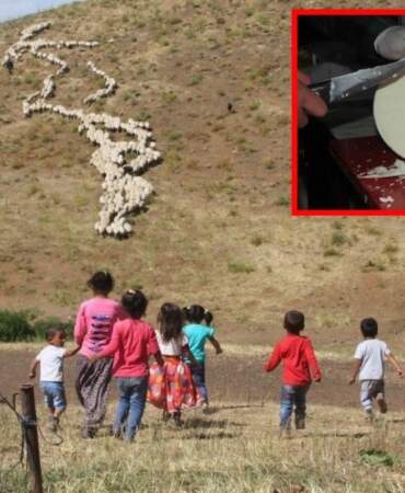 Lezzetti tescillendi, AB ülkelerinde koruma altına alındı! Erzincan tulum peyniri ülkenin gurur oldu