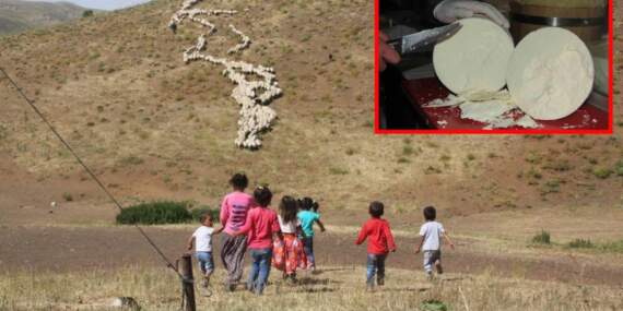 Lezzetti tescillendi, AB ülkelerinde koruma altına alındı! Erzincan tulum peyniri ülkenin gurur oldu