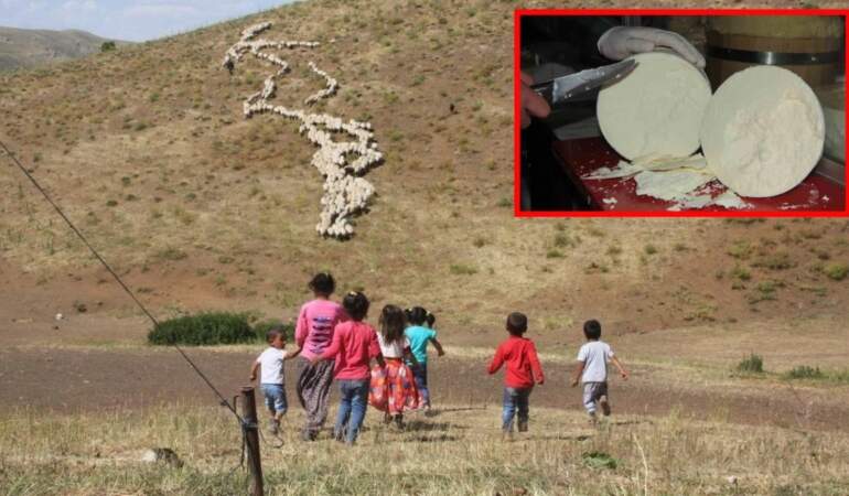 Lezzetti tescillendi, AB ülkelerinde koruma altına alındı! Erzincan tulum peyniri ülkenin gurur oldu