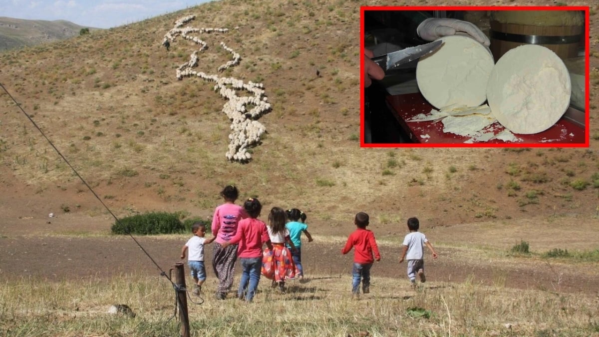 Lezzetti tescillendi, AB ülkelerinde koruma altına alındı! Erzincan tulum peyniri ülkenin gurur oldu