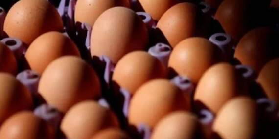 Yumurta severler çok üzülecek! Ünlü markada çamaşır suyu tespiti: Hepsi raflardan indirildi! Hemen çöpe atın