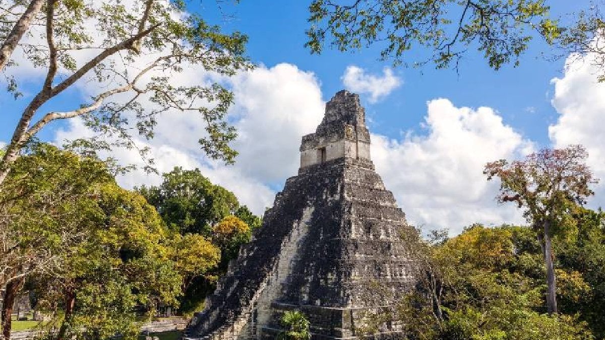Ormanın kalbinde kadim izler: 3 bin yıllık maya şehri bulundu