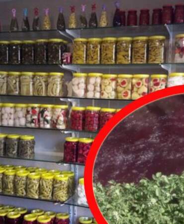 Dünyaca ünlü turşularıyla adını duyuran Bursa’nın Gedelek Köyü’nde, turşu suyu atıkları çevre felaketine yol açtı. Kızıla boyana
