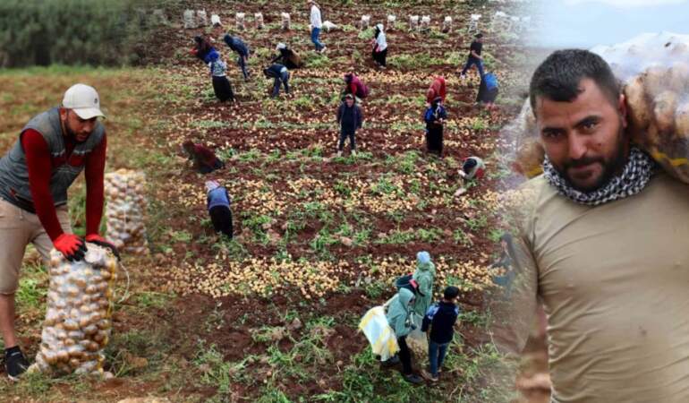 Bu iş sayesinde hem kızını evlendirdi hem de ev yaptı! Günde 2.500 TL kazanıyorlar: İşten de paradan da memnunlar