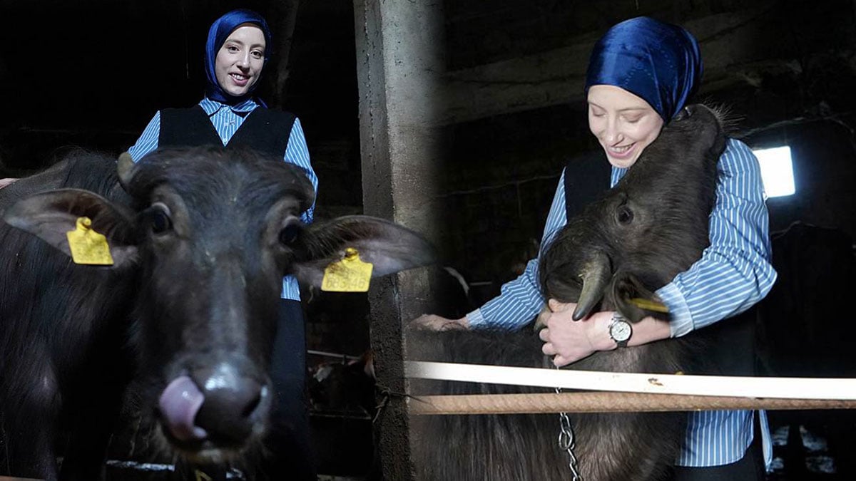 KPSS stresinden kurtuldu: 100 bin TL’ye kendi imparatorluğunu kurdu! ‘Uzman Eller’ projesiyle gelen çiftlik başarısı