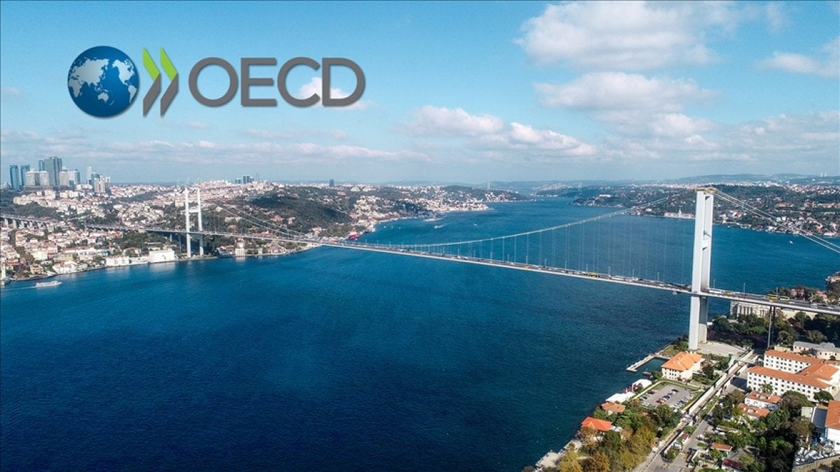 OECD’den Türkiye ekonomisi için yeni büyüme tahmini