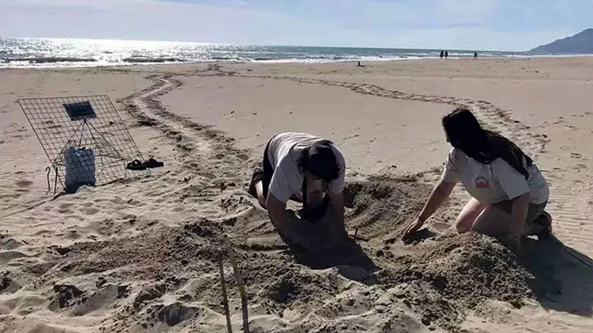 Bu plajlara gece adım atanlar 557 bin 212 TL ödeyecek! Akdeniz’de yasaklarla gelen umut