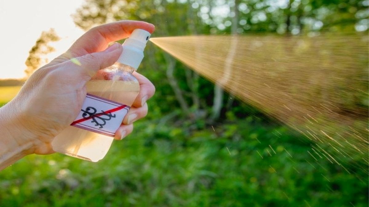 Sinekleri unutun! Koyduğunuz anda etki ediyor: Bu tuzak sayesinde yaz boyu rahat edin