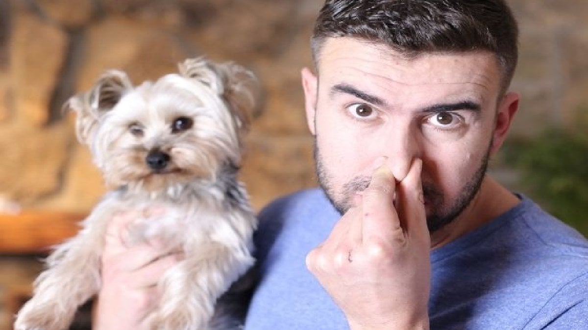 İlanı gören gözlerine inanamadı! ABD’li şirketten sadece koklayarak para kazanma imkanı! Saat başına 1000 TL ödeme