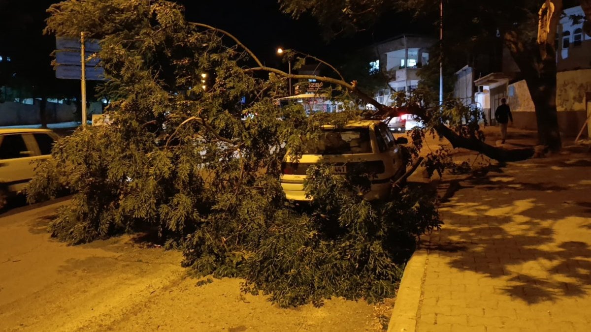 Kahramanmaraş’ta fırtına dehşeti: Park halindeki araca dev ağaç düştü