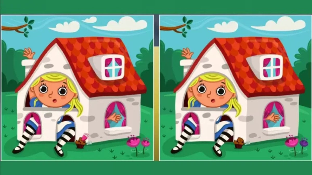 Bu farkları 20 saniyede bulabilenlerin zeka seviyesi çok yüksek! Görsel dikkat testi: Sadece 20 saniyeniz var