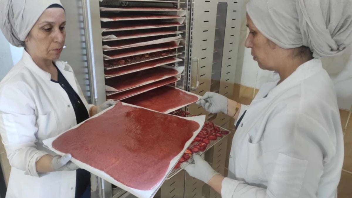 Bir araya geldiler imalathane kurdular! Aile ekonomisine destek için yola çıktılar: Kilosunu 350 liradan satıyorlar