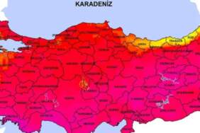 O ilimizde dev yılan görüntülendi! Uzmanlar üstüne basa basa uyardı: İstila başladı, hazırlıklı olun