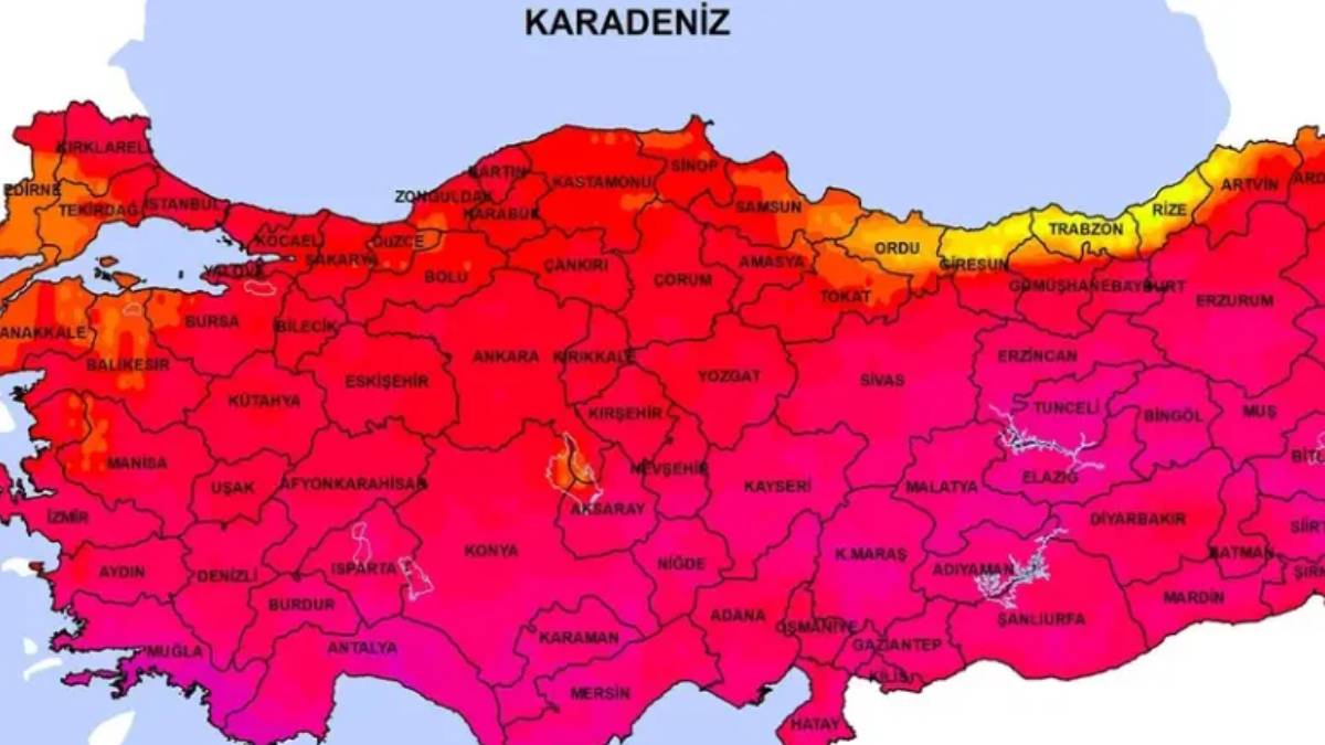 O ilimizde dev yılan görüntülendi! Uzmanlar üstüne basa basa uyardı: İstila başladı, hazırlıklı olun