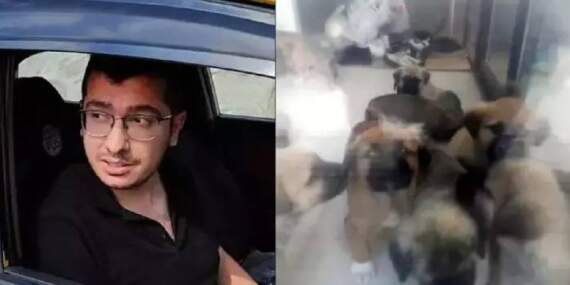 Köpeklere cinsel istismar skandalı: Doktora 17,5 yıla kadar hapis istemi