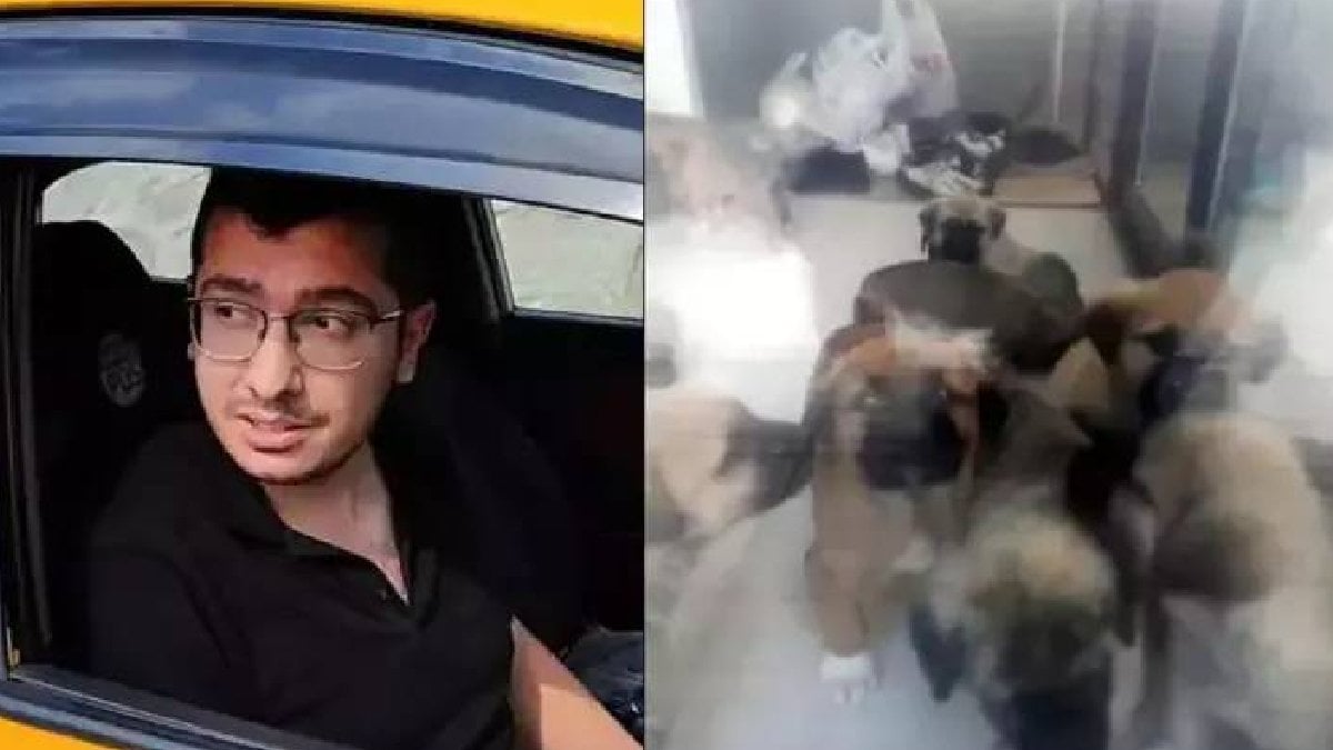 Köpeklere cinsel istismar skandalı: Doktora 17,5 yıla kadar hapis istemi