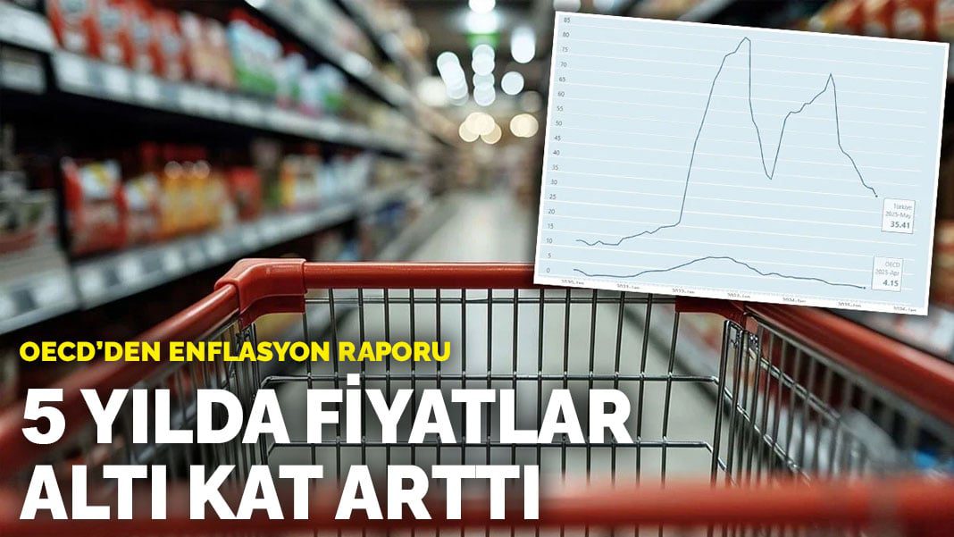 OECD’den enflasyon raporu: 5 yılda fiyatlar altı kat arttı