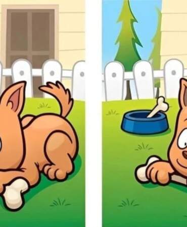 Sadece dikkat şampiyonları bu farkları 9 saniyede bulabiliyor! İki resim arasında gizlenmiş 5 ayrıntıyı sen görebilecek misin?