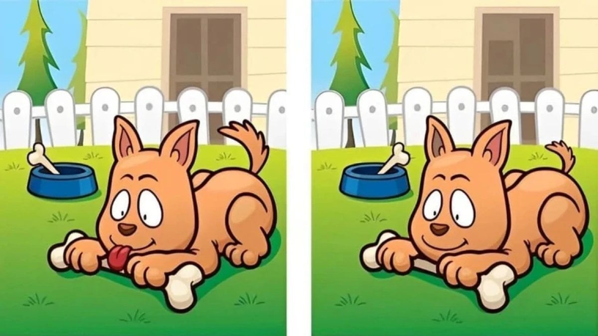 Sadece dikkat şampiyonları bu farkları 9 saniyede bulabiliyor! İki resim arasında gizlenmiş 5 ayrıntıyı sen görebilecek misin?