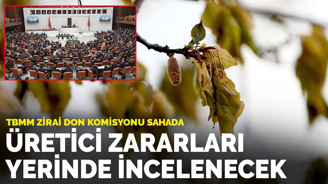 TBMM zirai don komisyonu sahada: Üretici zararları yerinde incelenecek