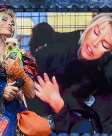 Ajda Pekkan’dan sokak hayvanları için çağrı: Onları korumak bizim insanlık görevimiz