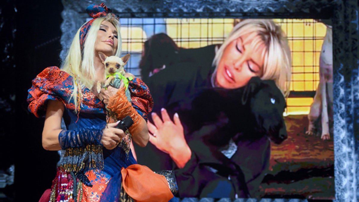 Ajda Pekkan’dan sokak hayvanları için çağrı: Onları korumak bizim insanlık görevimiz