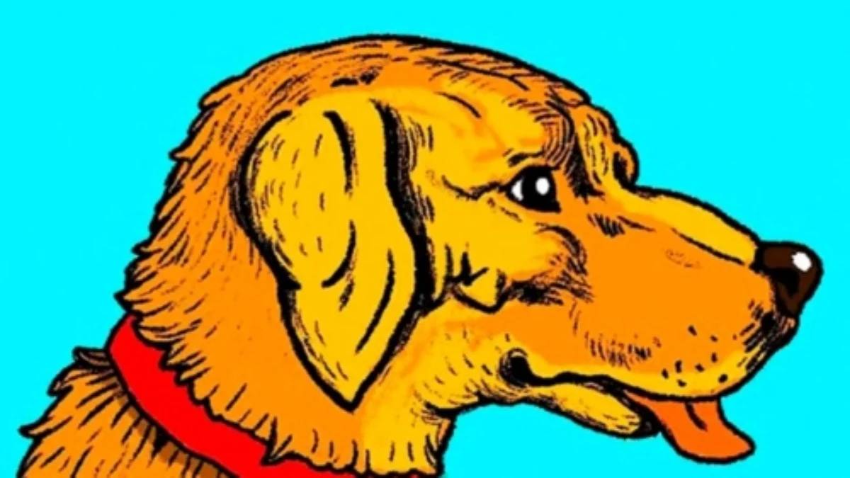 Zeka testi gibi illüzyon! Köpeğin içindeki gizemi görme durumunuz zekanızı ortaya çıkarıyor…