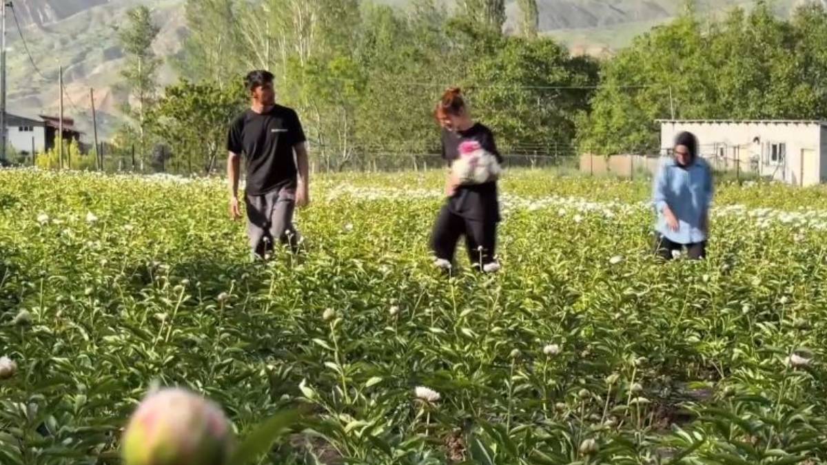 Kiraladığı tarlada üretime başladı, tüm Türkiye’ye ulaştı! 4 mevsim hasadını yapıyor: Resmen yok satıyor