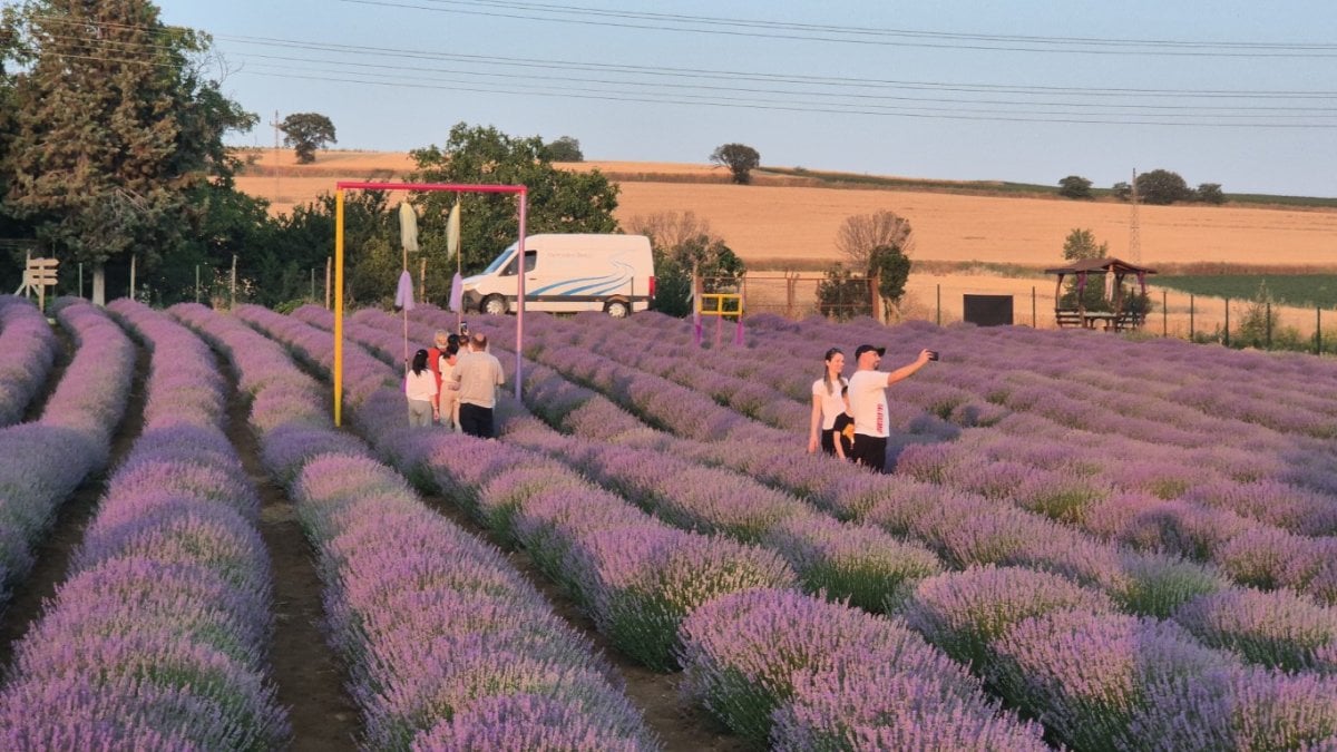 İstanbul’un dibinde, bilenler rotasını oraya çeviriyor! Mis gibi kokusu, göz alıcı rengiyle cezbediyor:Ziyaret için en iyi zaman