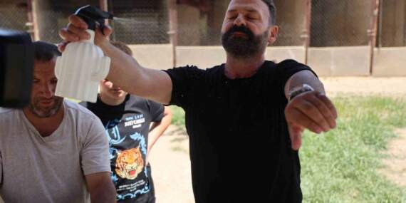 Keneye karşı doğal kalkan! Hem hayvanlar kullanabiliyor hem insanlar: Sivaslı yetiştiriciden doğal çözüm