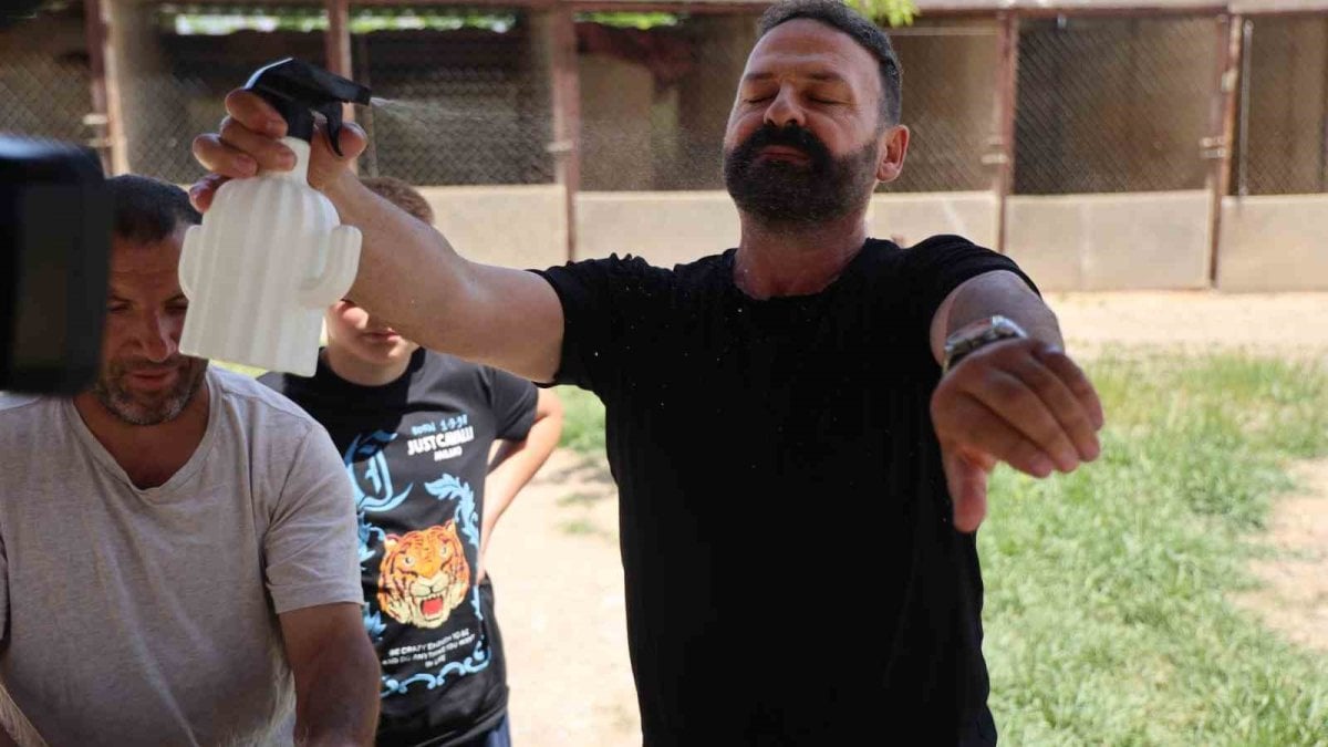 Keneye karşı doğal kalkan! Hem hayvanlar kullanabiliyor hem insanlar: Sivaslı yetiştiriciden doğal çözüm